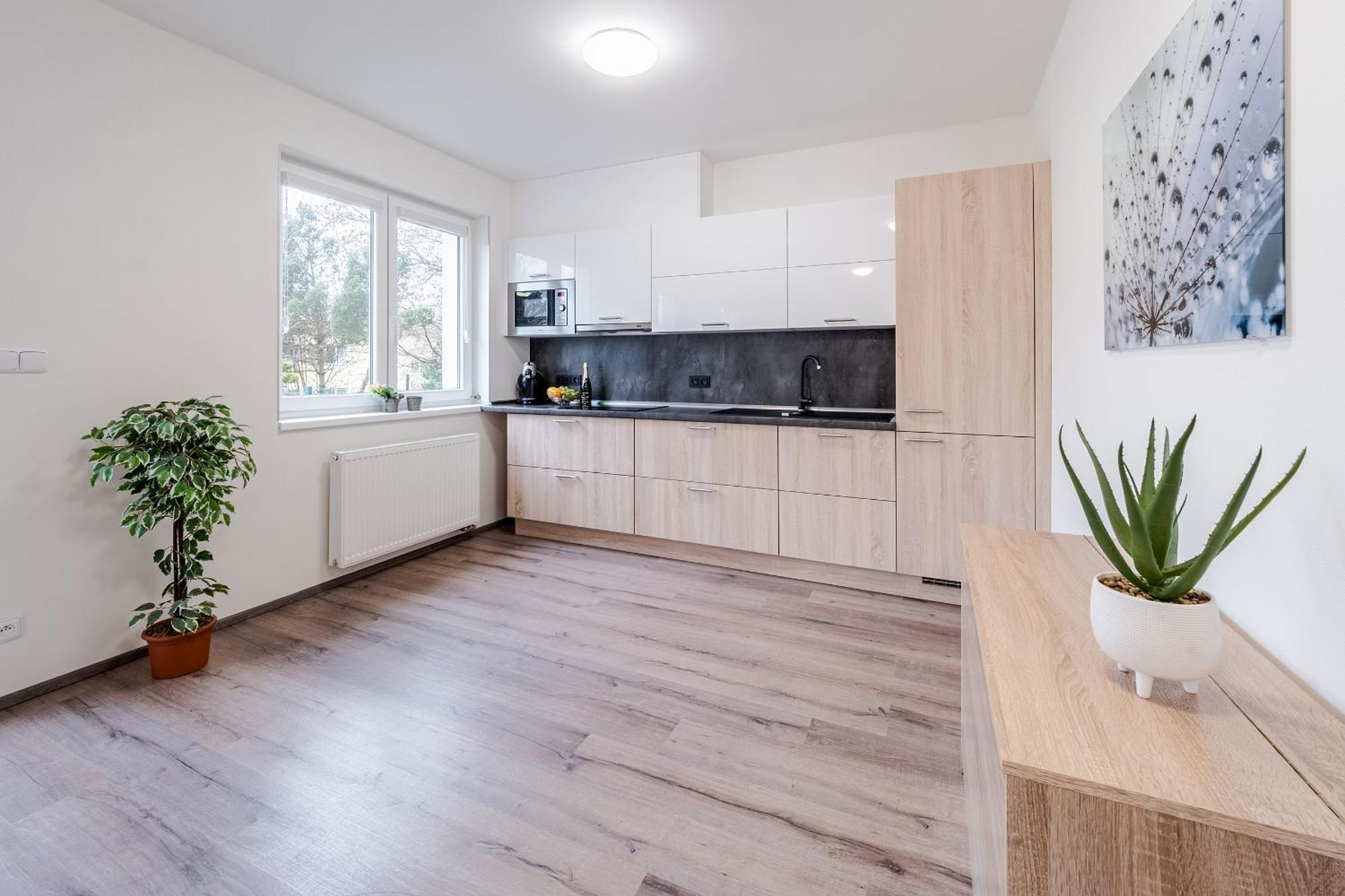 Private Luxury Apartments - Apartman G3 Frymburk Kültér fotó